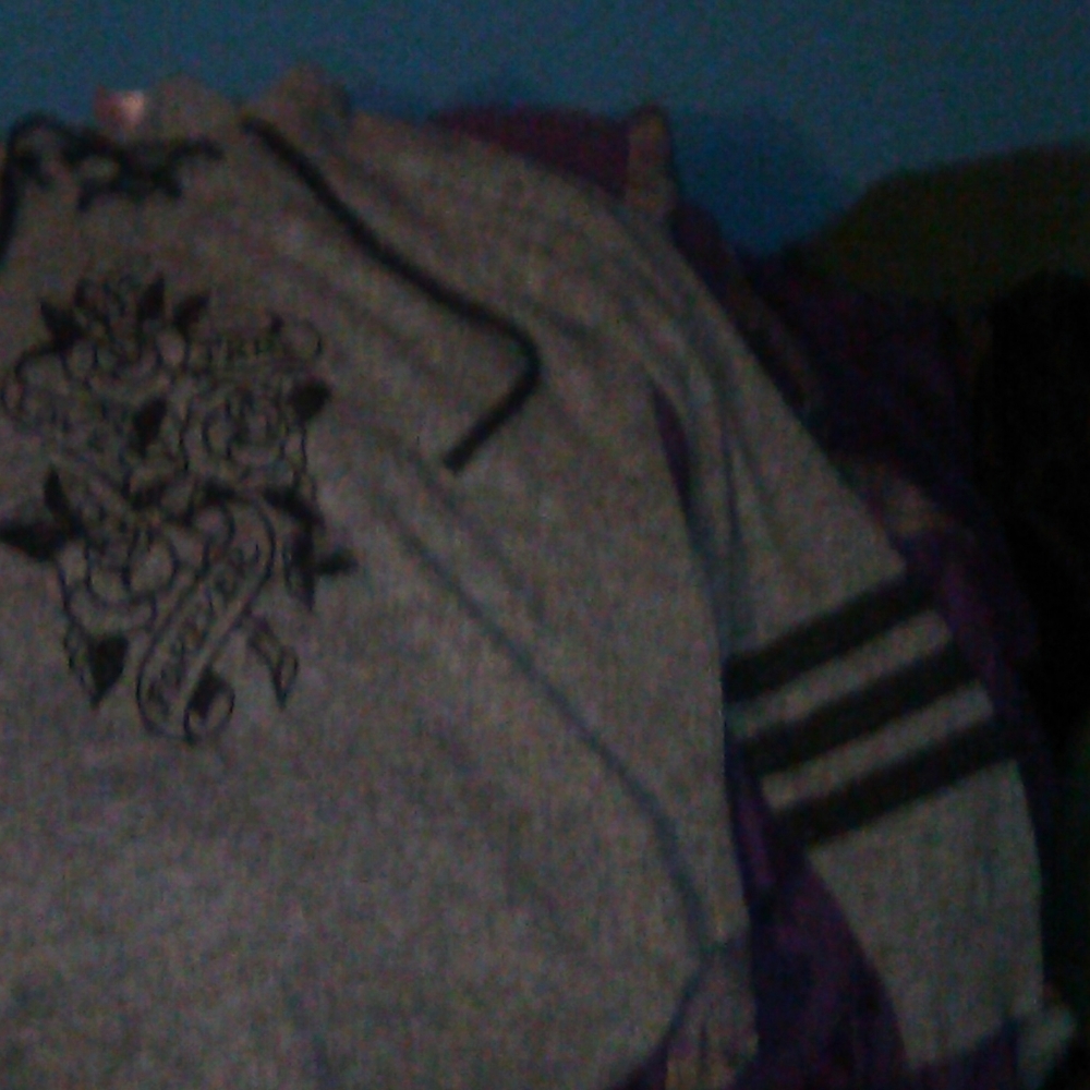 A somewhat thin hoodie/tee shirt with long sleeves